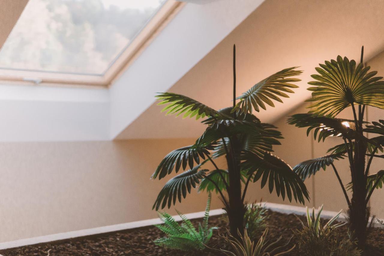 Hotel Candor San Salvador エクステリア 写真